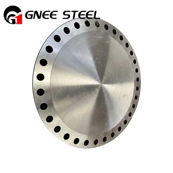 Flensa Buta Hastelloy